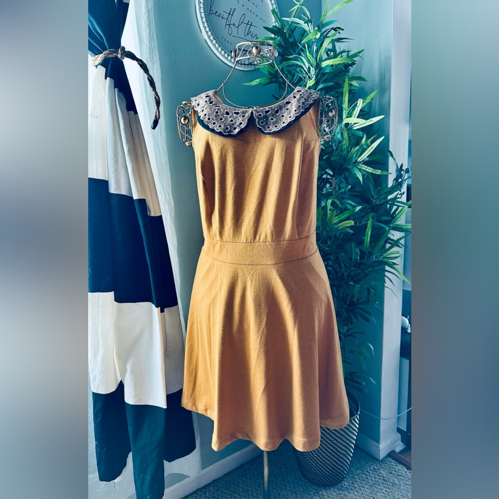 Peter Pan Embellished collar skirt dress